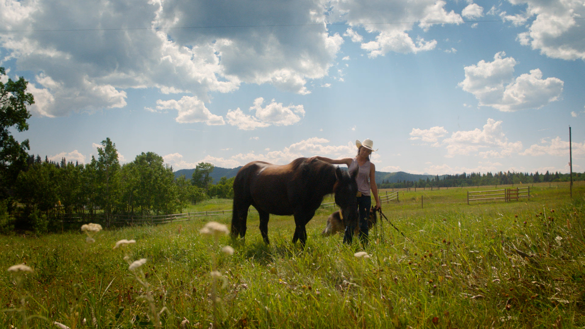 Heartland Season 16: Conquering Obstacles and Chasing Dreams