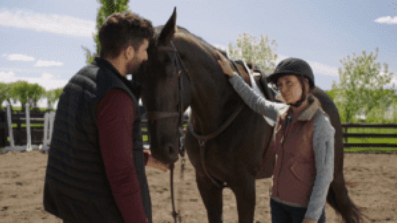 Heartland Catch UP: Season 17 Episode 2 "Taking the Reins"